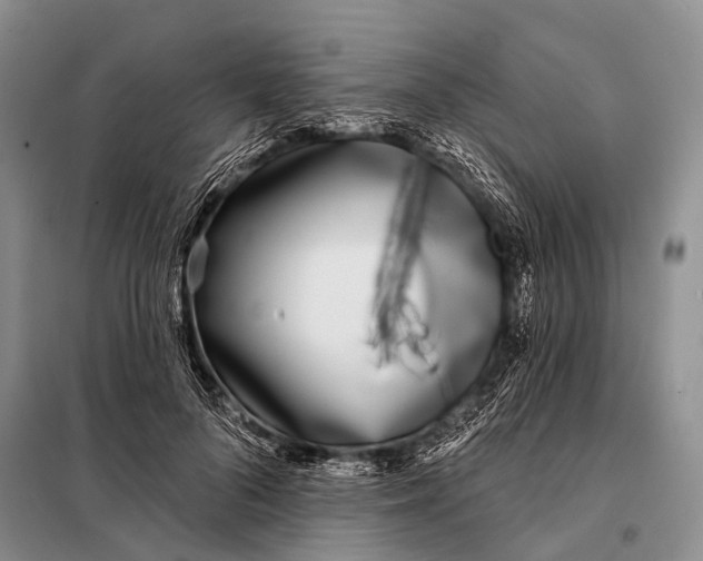 X0000098050696200804181324