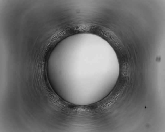 X0000098050697200804181324