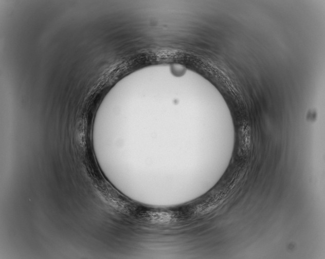 X0000098050698200804181324