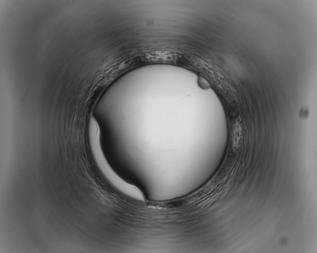 X0000098050699200804181324