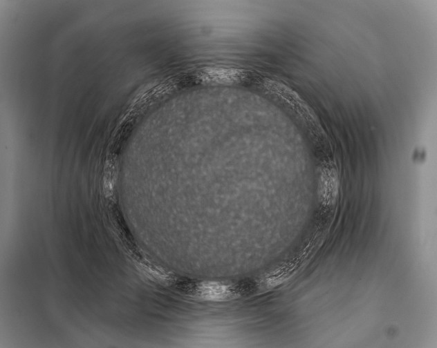 X0000098050701200804181324