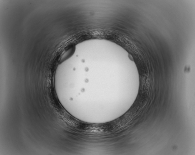 X0000098050702200804181324