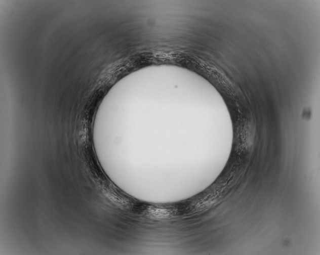 X0000098050706200804181324