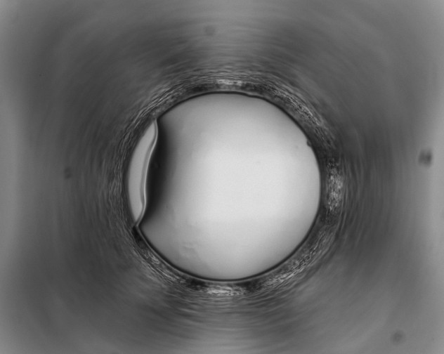 X0000098050707200804181324