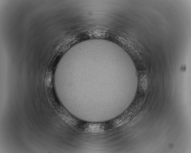 X0000098050709200804181324