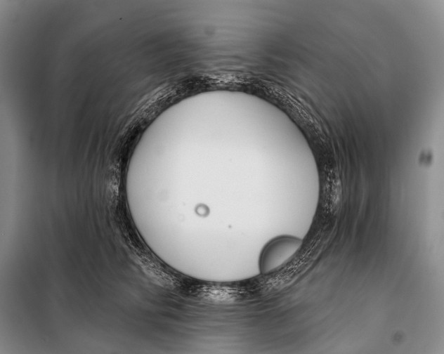 X0000098050710200804181324