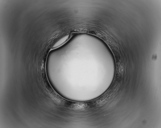 X0000098050711200804181324