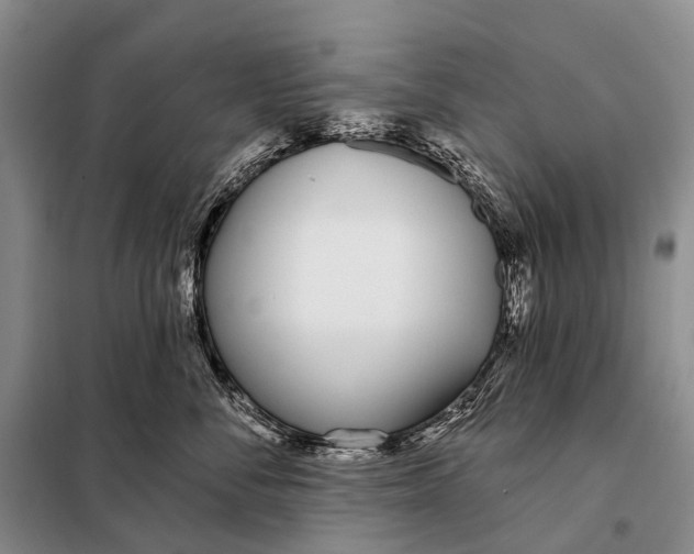 X0000098050716200804181323