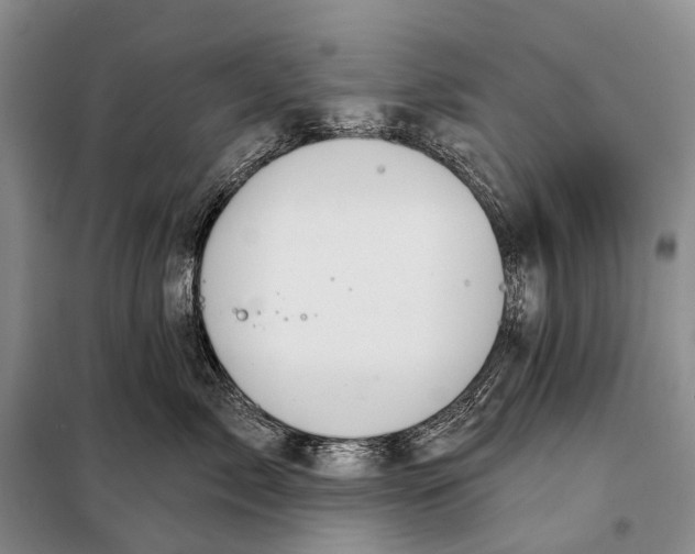 X0000098050717200804181323