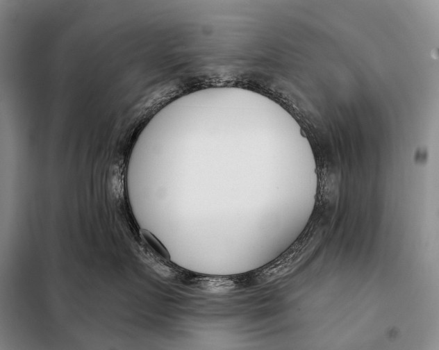 X0000098050719200804181323