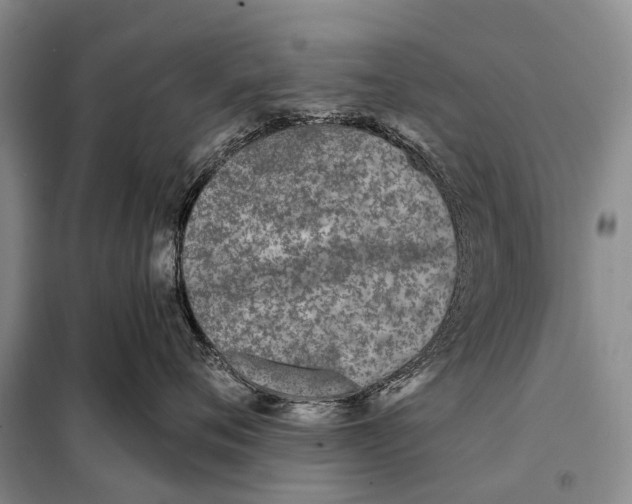 X0000098050720200804181323