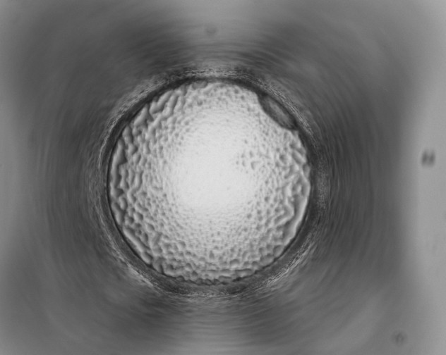 X0000098050721200804181322