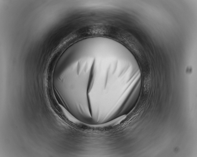 X0000098050722200804181322