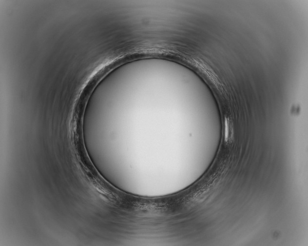 X0000098050723200804181322