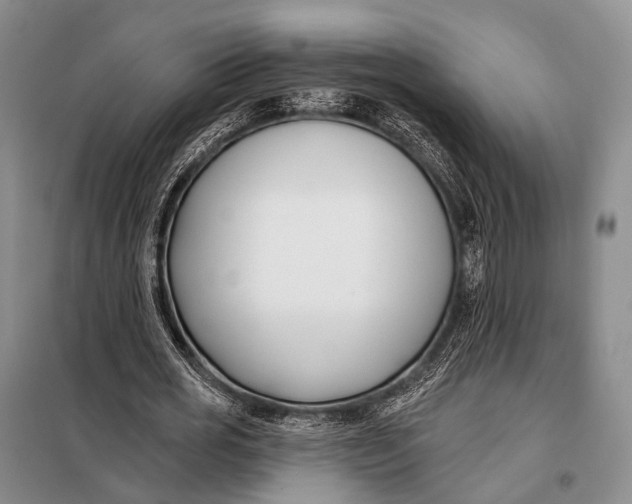 X0000098050725200804181323