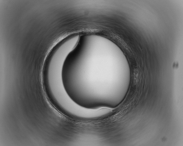 X0000098050726200804181323