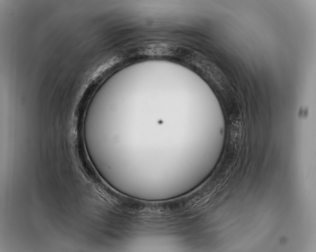 X0000098050727200804181323