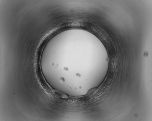 X0000098050728200804181323