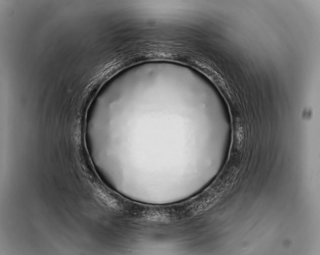 X0000098050729200804181323