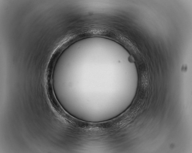 X0000098050730200804181323