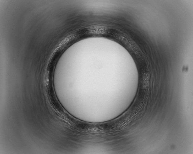 X0000098050731200804181323