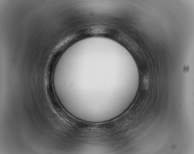 X0000098050732200804181323