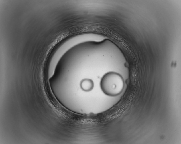 X0000098050734200804181323