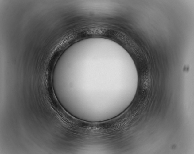 X0000098050735200804181323