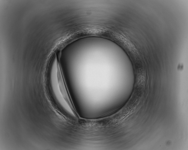 X0000098050736200804181323