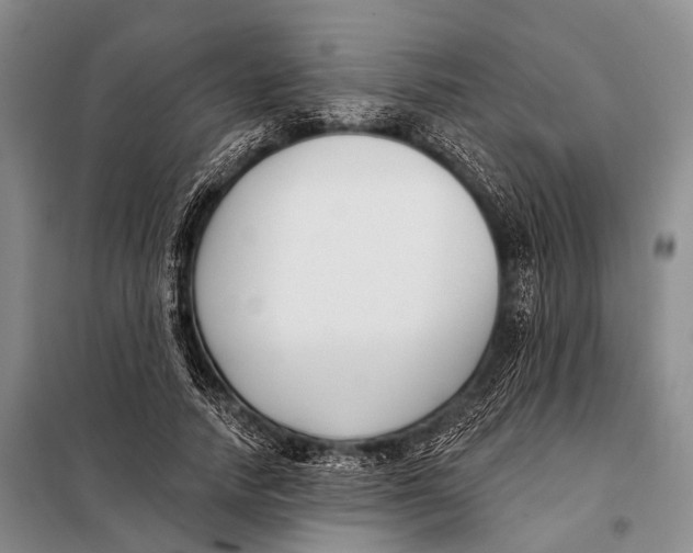 X0000098050738200804181323