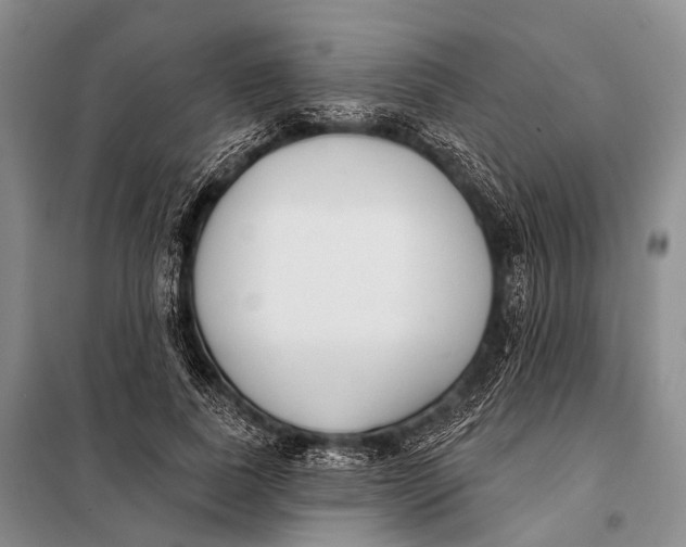 X0000098050739200804181323