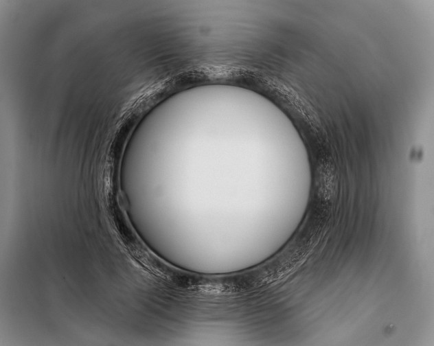 X0000098050740200804181323