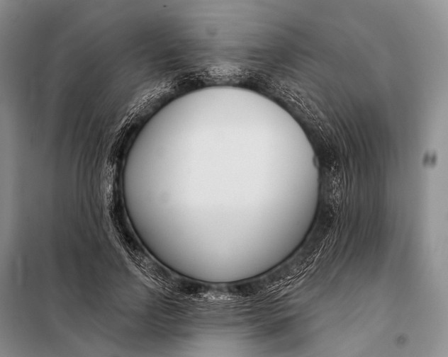 X0000098050742200804181323