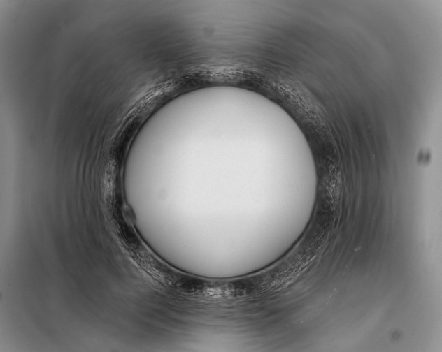 X0000098050744200804181323