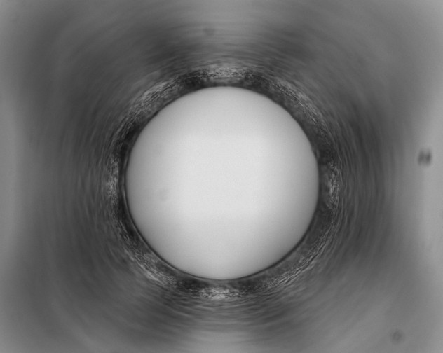 X0000098050745200804181323