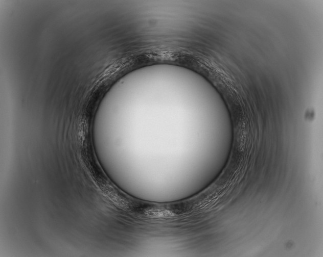 X0000098050747200804181323