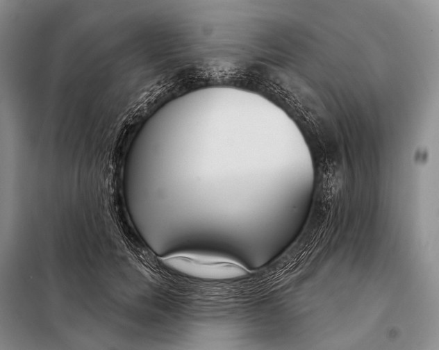 X0000098050750200804181323