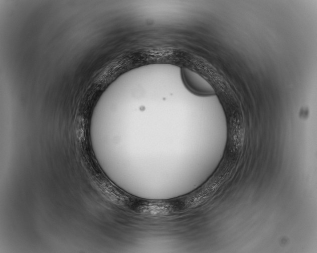 X0000098050758200804181323