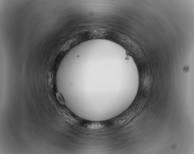 X0000098050759200804181323