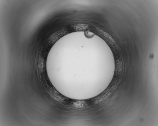 X0000098050761200804181323