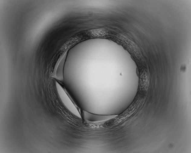 X0000098050762200804181323