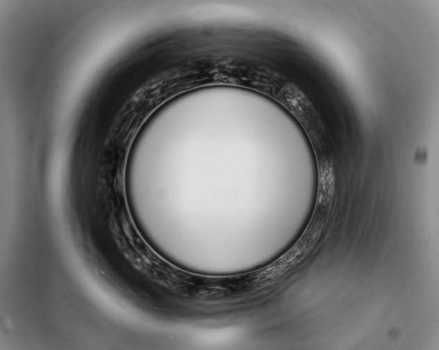 X0000098050765200804181323