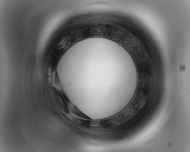 X0000098050766200804181323