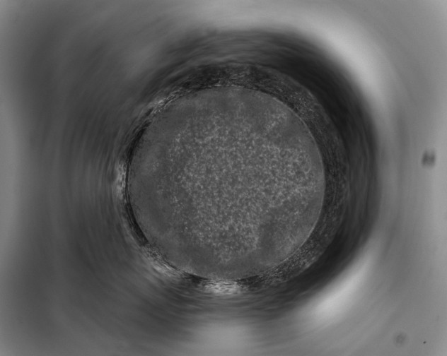 X0000098050767200804181323