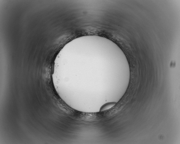 X0000098050768200804181323