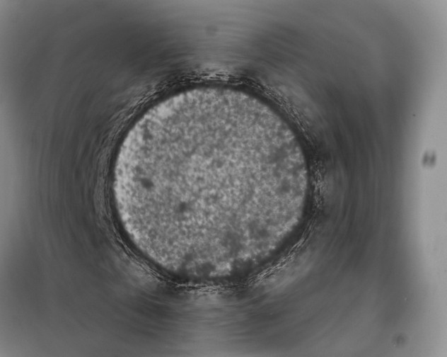 X0000098050769200804181322