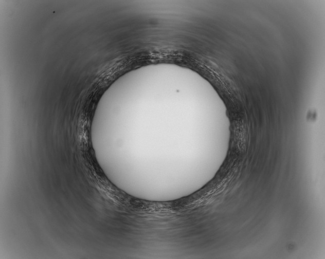 X0000098050770200804181322