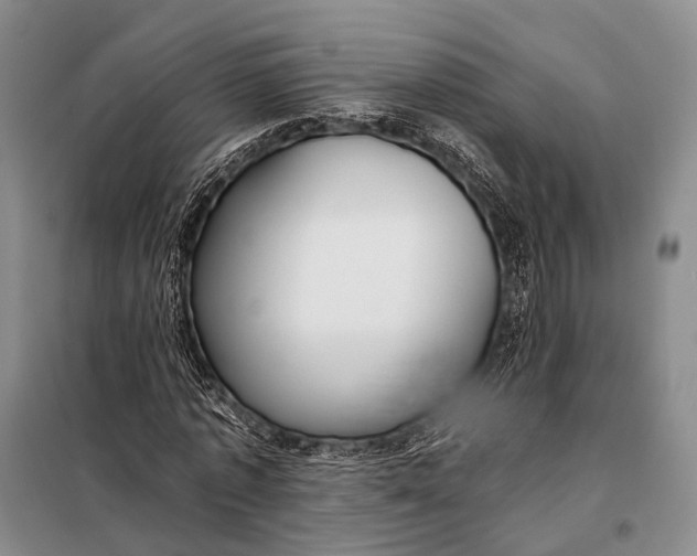 X0000098050773200804181322