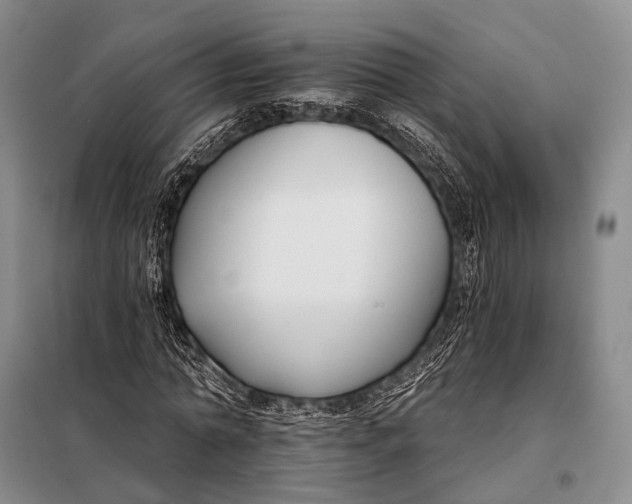 X0000098050774200804181322