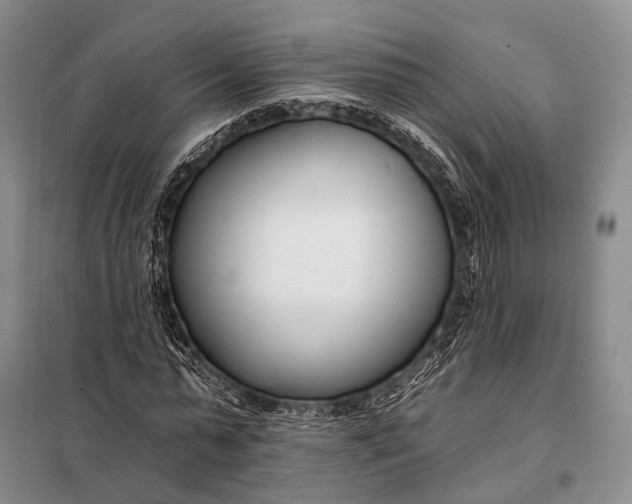 X0000098050775200804181322